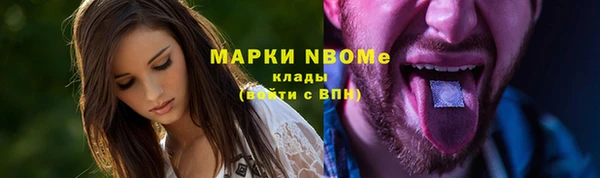 амф Верея