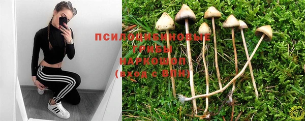 Альфа ПВП Протвино