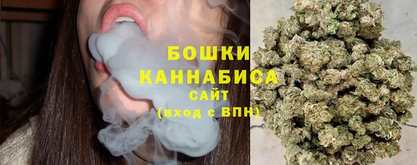 apvp Верхний Тагил