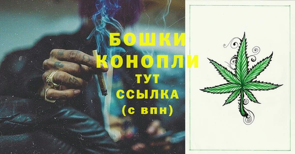 амф Верея