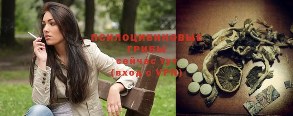 apvp Верхний Тагил