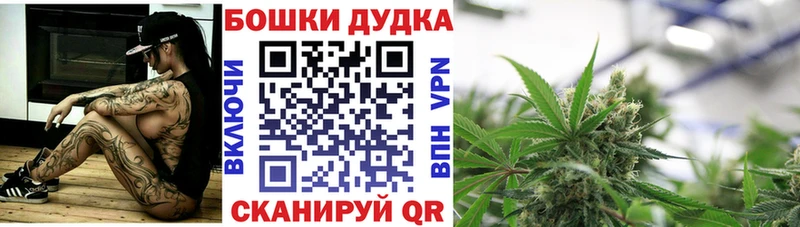 где найти   Карталы  Каннабис сатива 